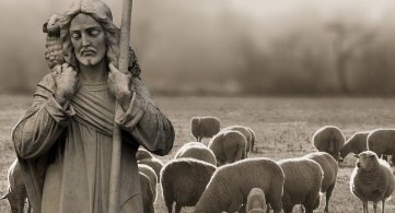 IV Domenica di Pasqua - Anno C. la mano forte del pastore